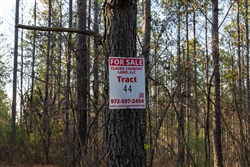 Lightning Ridge Tract 44