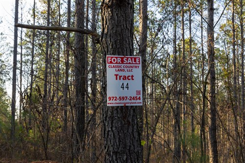 Lightning Ridge Tract 44