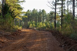 Lightning Ridge Tract 44