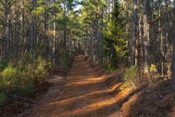 Lightning Ridge Tract 44