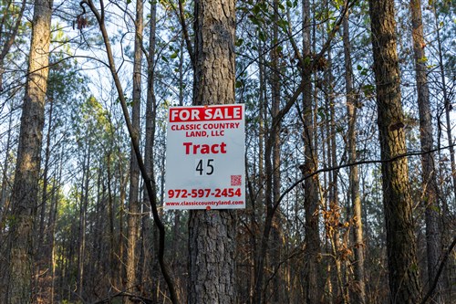 Lightning Ridge Tract 45