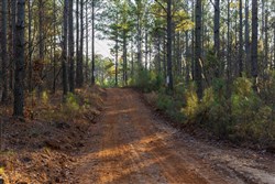 Lightning Ridge Tract 45