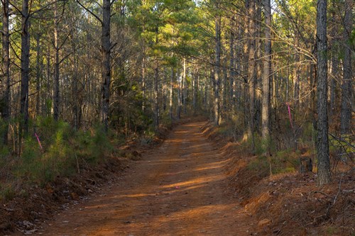 Lightning Ridge Tract 45