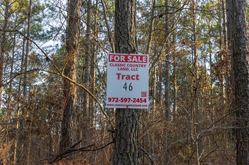 Lightning Ridge Tract 46