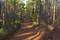 Lightning Ridge Tract 46