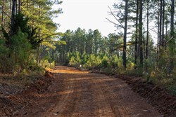 Lightning Ridge Tract 46