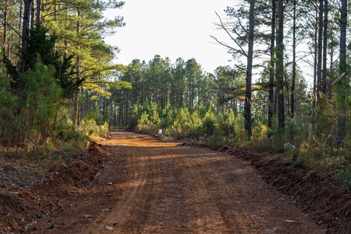 Lightning Ridge Tract 46