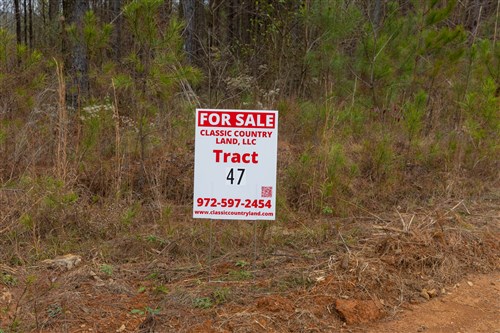 Lightning Ridge Tract 47