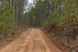 Lightning Ridge Tract 47