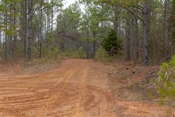 Lightning Ridge Tract 47