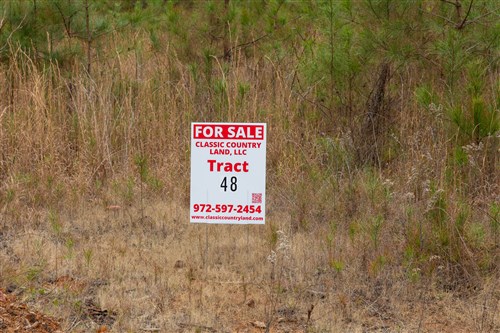 Lightning Ridge Tract 48