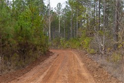 Lightning Ridge Tract 48