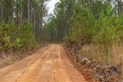 Lightning Ridge Tract 48