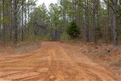 Lightning Ridge Tract 48