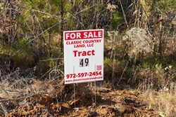 Lightning Ridge Tract 49