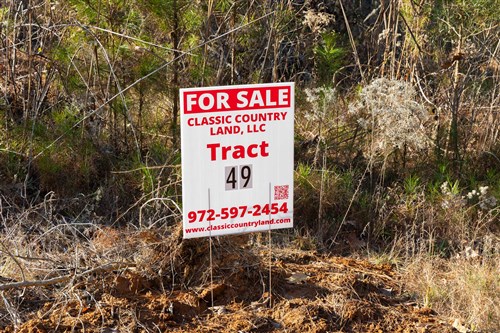 Lightning Ridge Tract 49