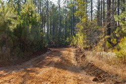 Lightning Ridge Tract 49