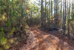 Lightning Ridge Tract 49