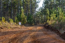 Lightning Ridge Tract 49