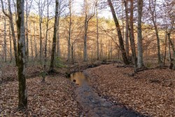 Lightning Ridge Tract 49