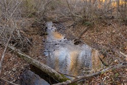 Lightning Ridge Tract 49