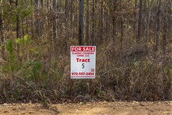 Lightning Ridge Tract 5