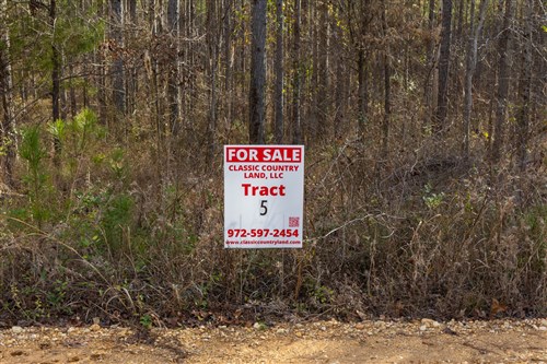 Lightning Ridge Tract 5