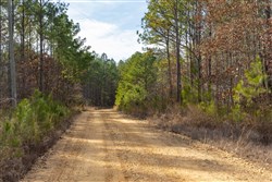 Lightning Ridge Tract 5