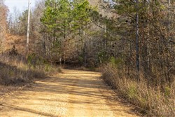 Lightning Ridge Tract 5