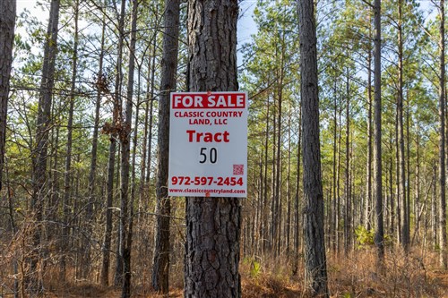 Lightning Ridge Tract 50