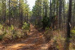 Lightning Ridge Tract 50