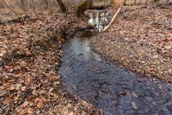 Lightning Ridge Tract 50