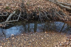 Lightning Ridge Tract 50