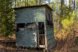 Lightning Ridge Tract 50