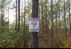 Lightning Ridge Tract 51