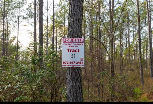 Lightning Ridge Tract 51