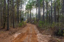 Lightning Ridge Tract 51