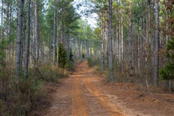 Lightning Ridge Tract 51