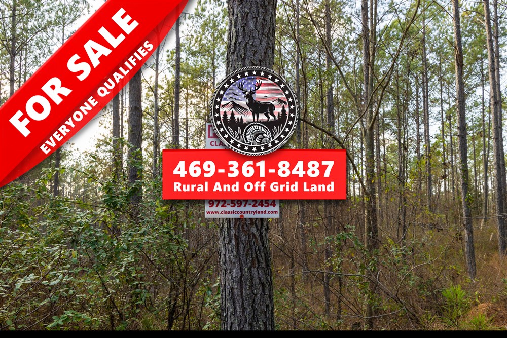 Lightning Ridge Tract 51 - Primary