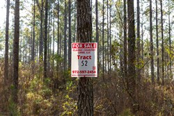 Lightning Ridge Tract 52