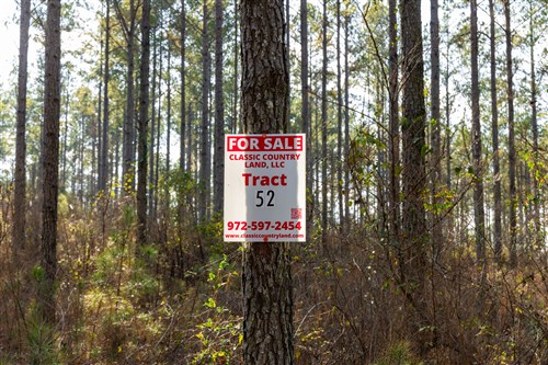 Lightning Ridge Tract 52