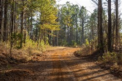 Lightning Ridge Tract 52