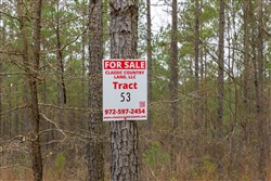 Lightning Ridge Tract 53