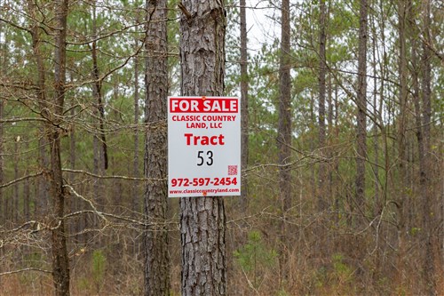 Lightning Ridge Tract 53