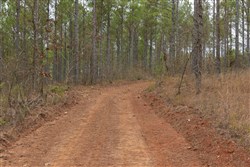 Lightning Ridge Tract 53