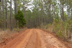 Lightning Ridge Tract 53