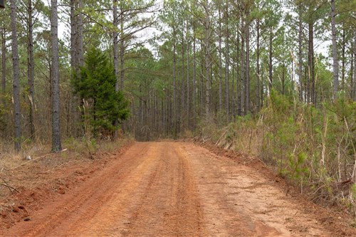 Lightning Ridge Tract 53