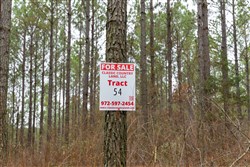 Lightning Ridge Tract 54