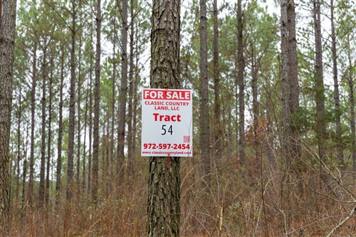 Lightning Ridge Tract 54