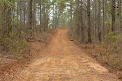 Lightning Ridge Tract 54